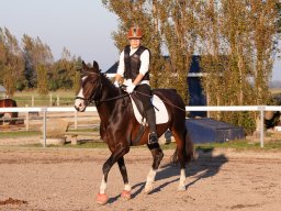 IMG_7735_web